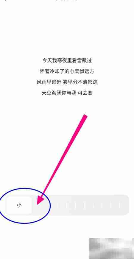 夸克如何开启小字体格式