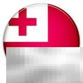 TO域名是什么？全面解析与使用教程