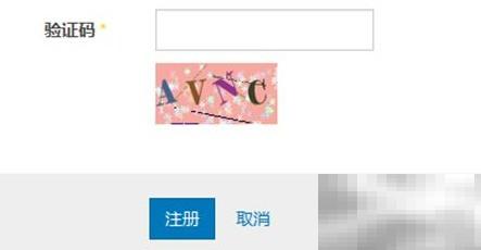 大小写规范解析：英文书写场景应用指南