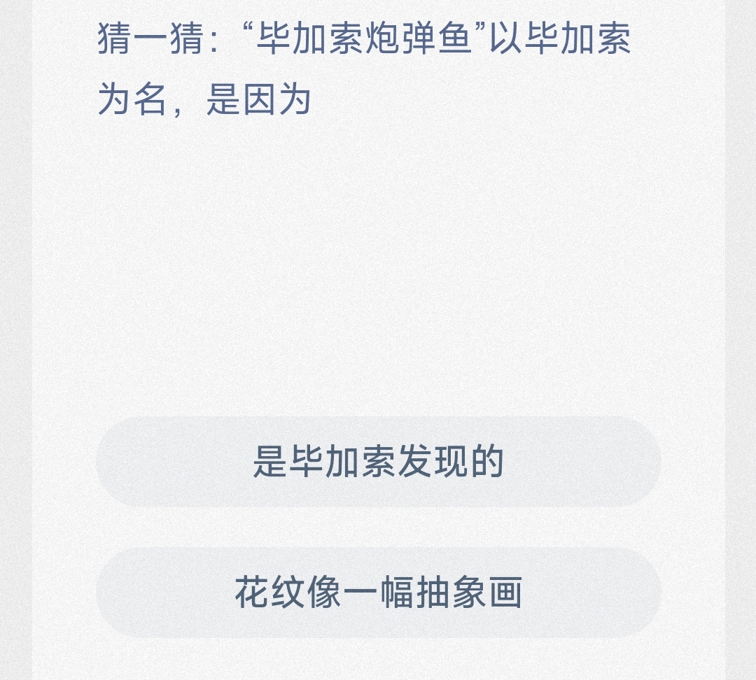 毕加索炮弹鱼名字由来揭秘