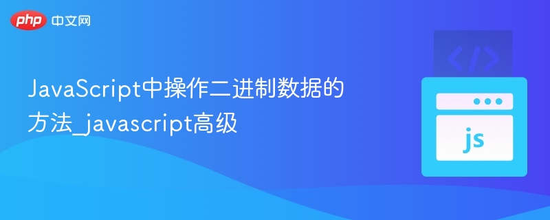JavaScript处理二进制数据技巧全解析