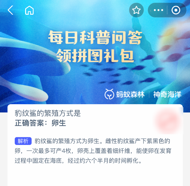 豹纹鲨的繁殖方式是