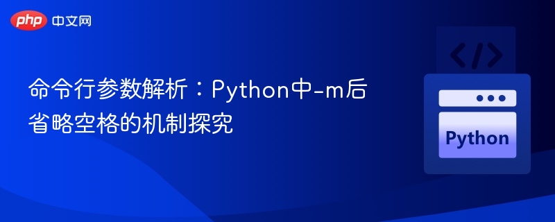 Python-m参数空格解析技巧详解