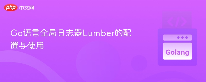 Go语言Lumber日志器配置与使用教程