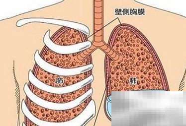 Light标准是什么？详解与实际应用