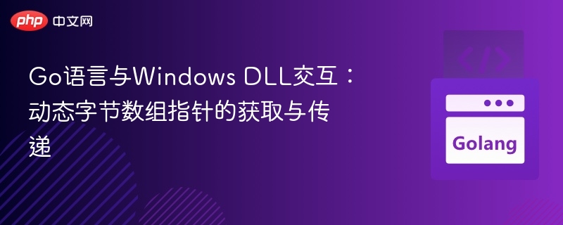 Go语言与Windows DLL交互:动态字节数组指针的获取与传递