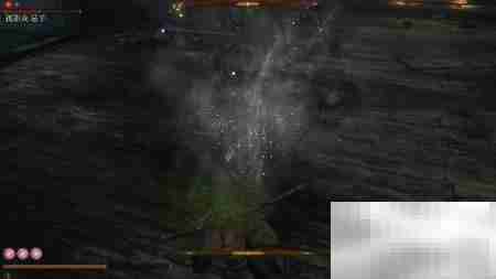 只狼仙峰脚使用技巧