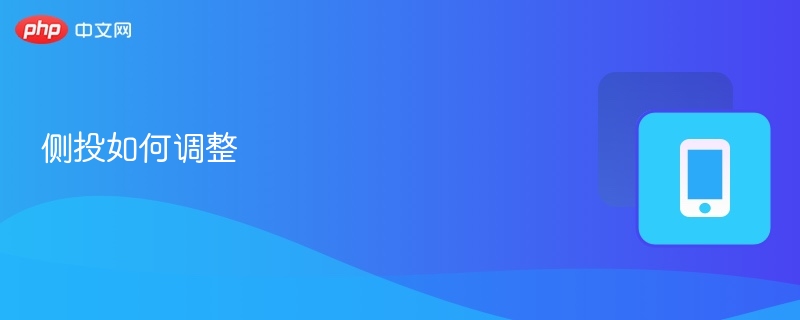 侧投设置优化技巧详解