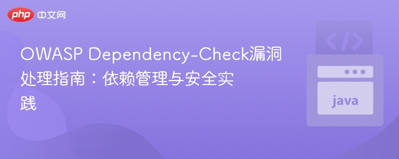 OWASPDependency-Check漏洞处理与管理指南