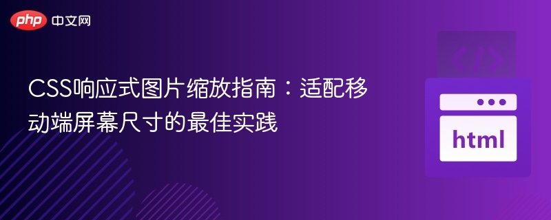 CSS图片响应式缩放技巧：手机适配实用方法