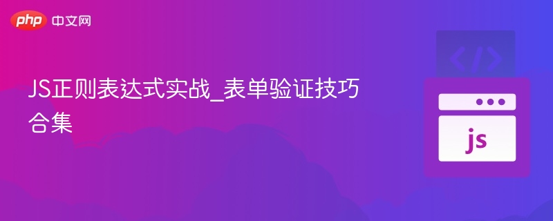 JS正则表达式实战_表单验证技巧合集