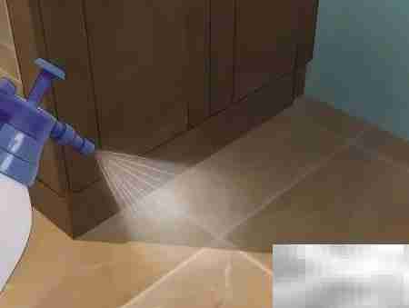 最有效驱鼠方法大揭秘