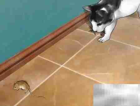 最有效驱鼠方法大揭秘