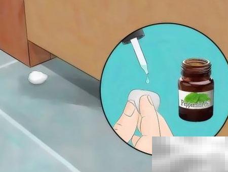 驱鼠妙招分享，效果超惊人！