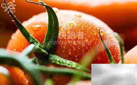 免费采购菜配送系统优势