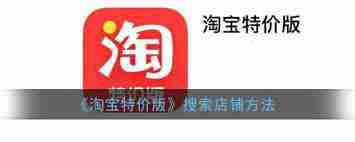 特价版淘宝怎么搜店铺