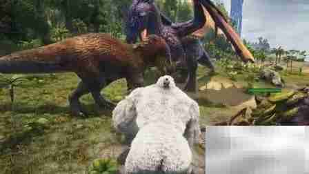 嘟嘟霸王龙驯养秘诀