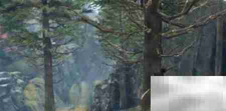 只狼金刚山仙峰寺通关攻略