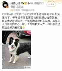 12306能否托运宠物