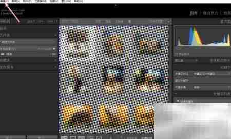 Lightroom目录备份设置技巧