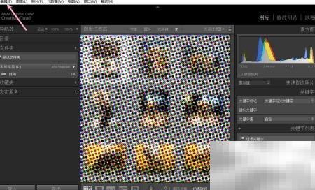 Lightroom目录备份设置教程