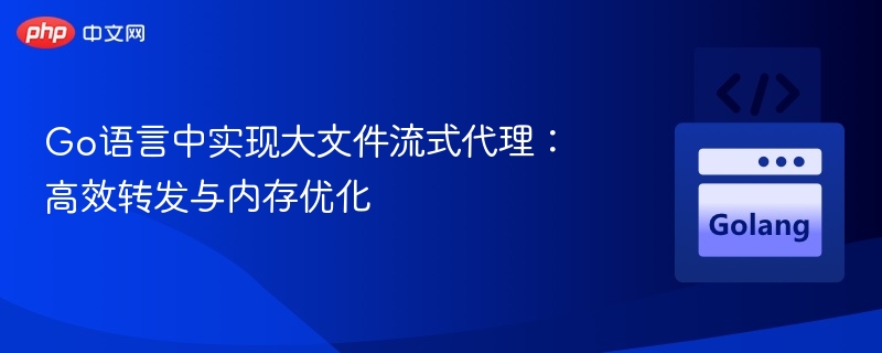 Go语言大文件流式代理实现方法