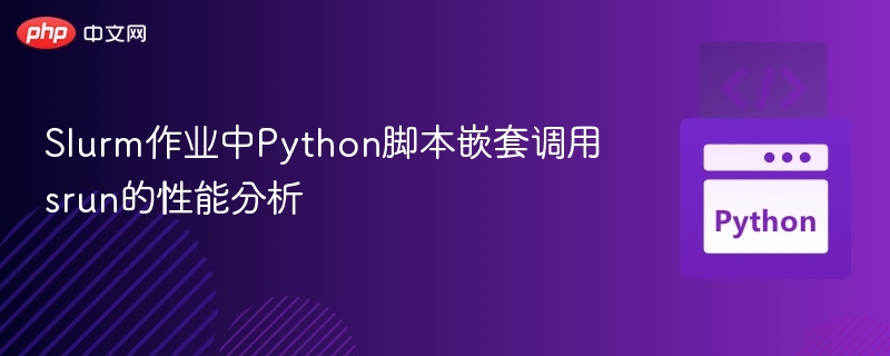 Python调用srun性能分析与优化