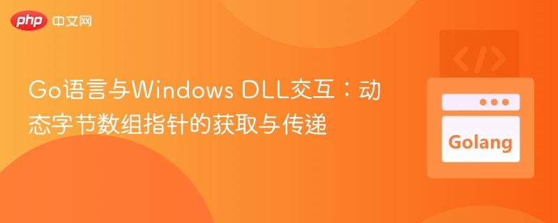 Go调用WindowsDLL：动态数组指针处理方法