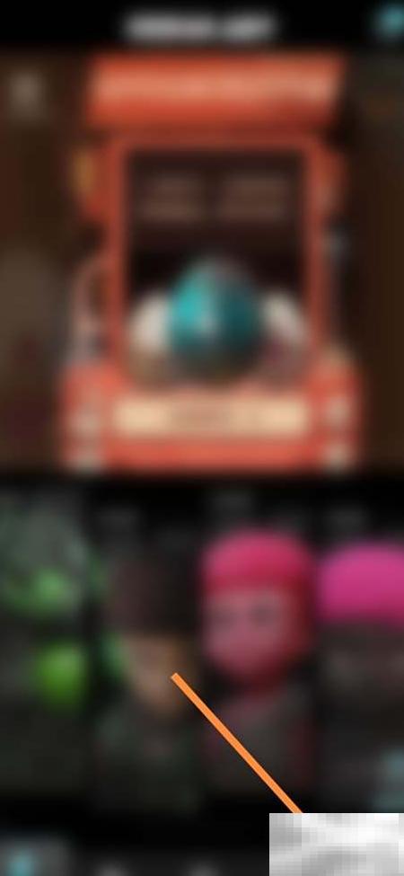 非凡宠物购宠指南与选择技巧