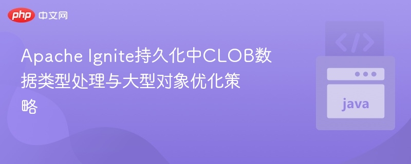 Apache Ignite持久化中CLOB数据类型处理与大型对象优化策略