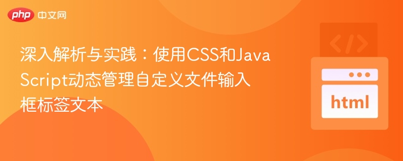 CSS与JS控制文件输入框文本技巧