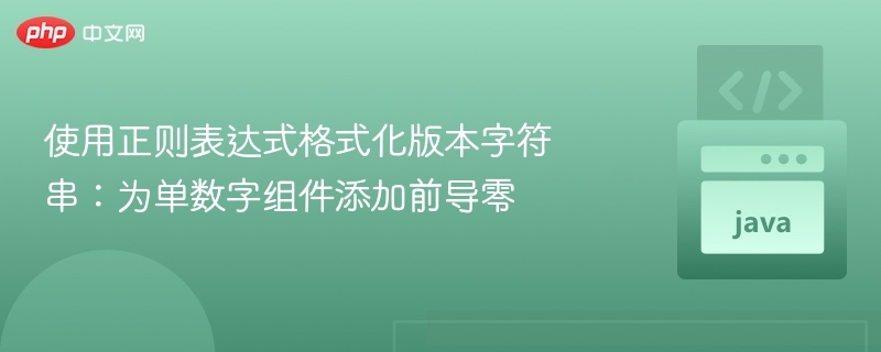 使用正则表达式格式化版本字符串：为单数字组件添加前导零

