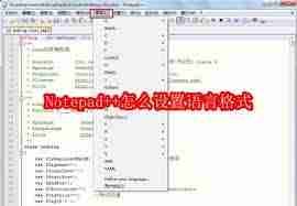 Notepad如何设置语言格式