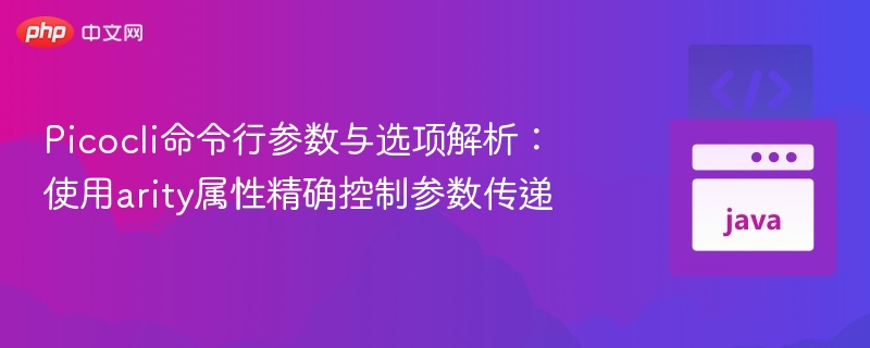 Picocli参数arity设置全解析