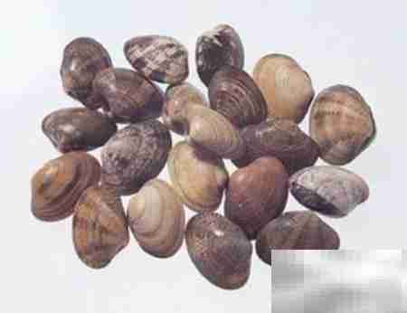 炒小贝：鲜香美味一锅出