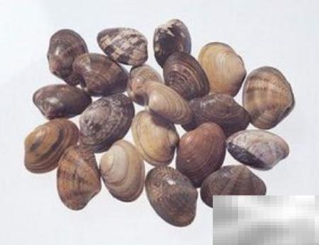 炒小贝：鲜香美味一锅搞定