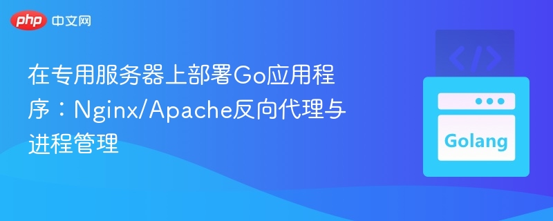 Go应用部署：Nginx反代与进程管理教程