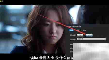 如何用看看播放器加载网络字幕