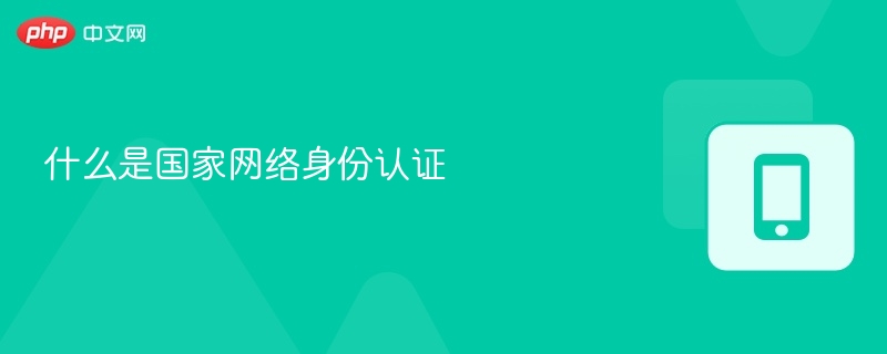 国家网络身份认证详解
