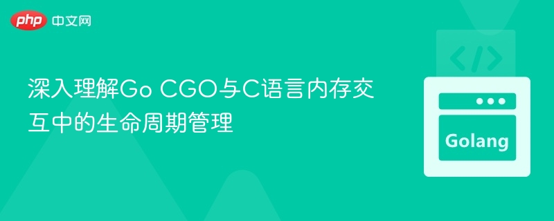 CGO与C内存管理全解析
