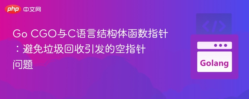 Go CGO与C语言结构体函数指针:避免垃圾回收引发的空指针问题