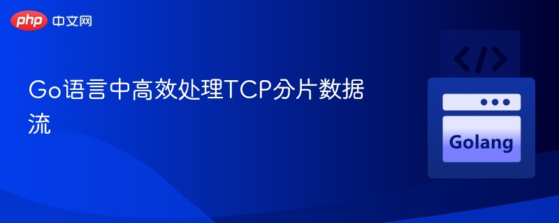 Go语言TCP分片数据处理技巧