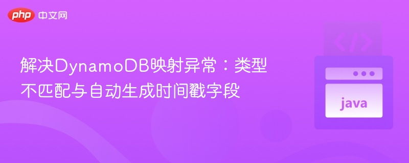 DynamoDB映射异常解决技巧