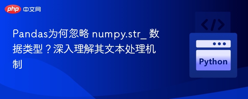 Pandas为何忽略 numpy.str_ 数据类型?深入理解其文本处理机制