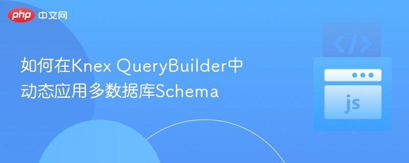 KnexQueryBuilder多Schema动态使用方法