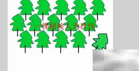 FLASH生态守护计划