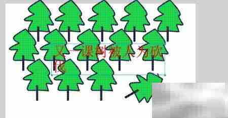 FLASH生态守护计划