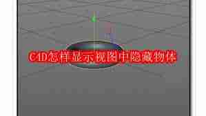 C4D如何显示视图中隐藏物体
