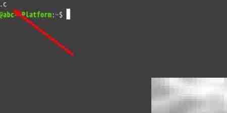 Linux文件存在却找不到?