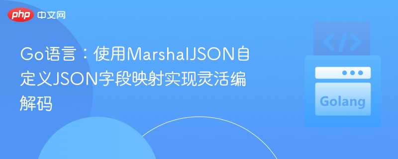 Go语言自定义JSON字段映射技巧